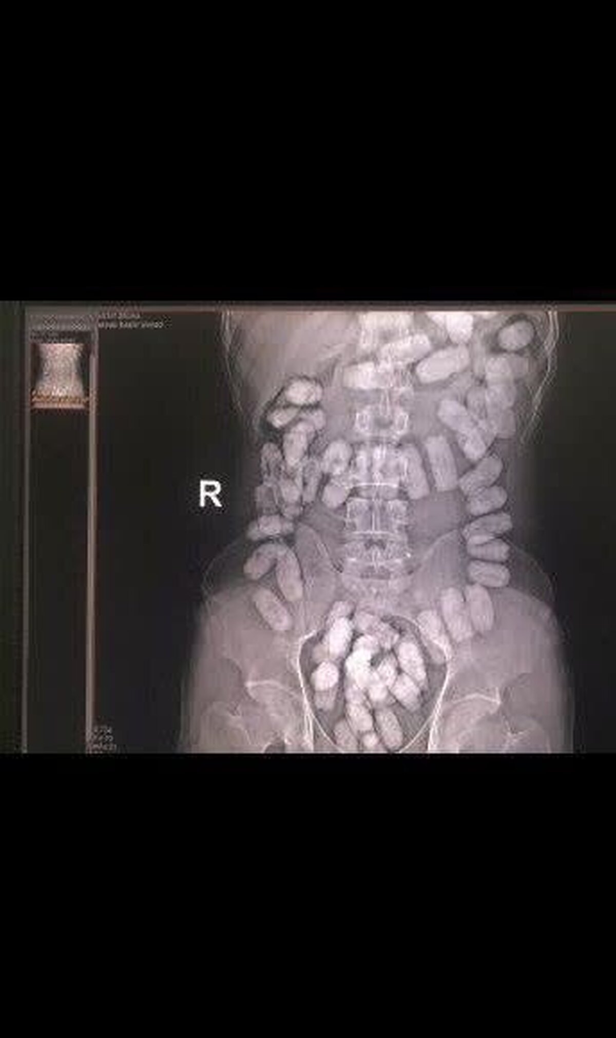 کشف 33 بسته مواد مخدر آب بندی شده با هوشیاری مرزبانان هنگ مرزي تايباد