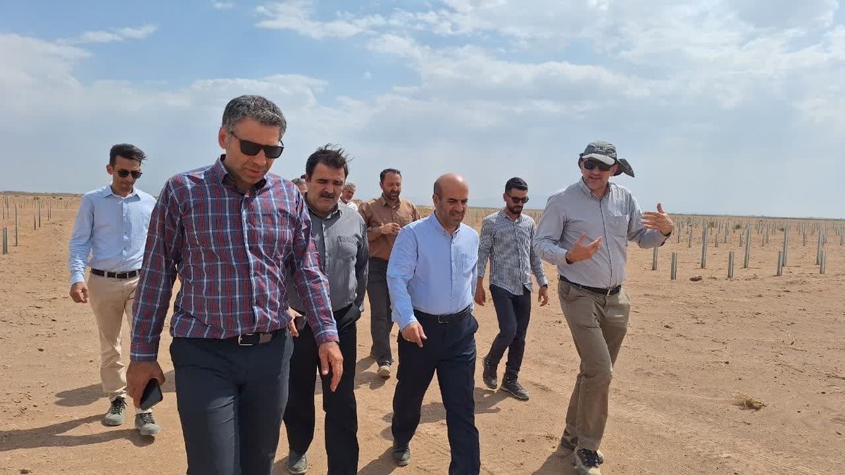 معاون وزیر از نیروگاه خورشیدی در دست ساخت در پاپلی بویین زهرا بازدید کرد