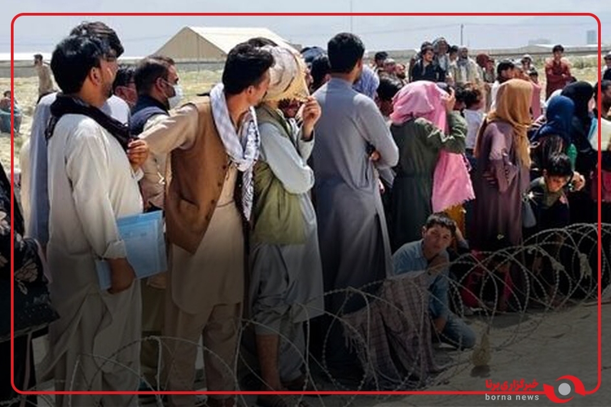 کدام دسته از اتباع (به خصوص افغانستانی‌ها) می‌توانند در ایران بمانند؟