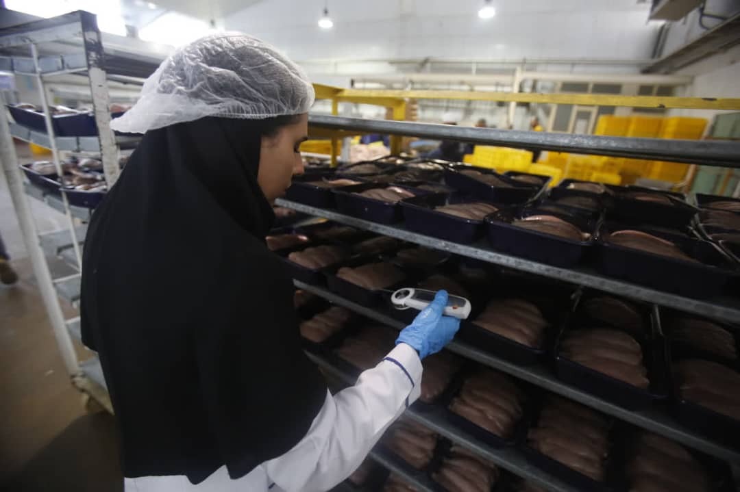 توسعه، صرفاً به معنای افزایش ظرفیت تولید نیست