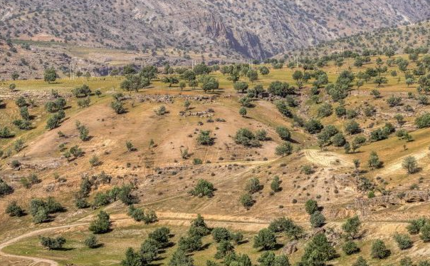 دکترای اکوتوریسم در منابع طبیعی قزوین/ مدیری که توسعه ذخیره گاههای جنگلی را اولویت می دهد