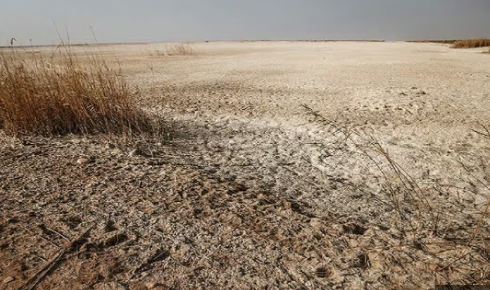 دکترای اکوتوریسم در منابع طبیعی قزوین/ مدیری که توسعه ذخیره گاههای جنگلی را اولویت می دهد