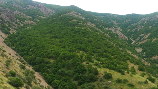 دکترای اکوتوریسم در منابع طبیعی قزوین/ مدیری که توسعه ذخیره گاههای جنگلی را اولویت می دهد