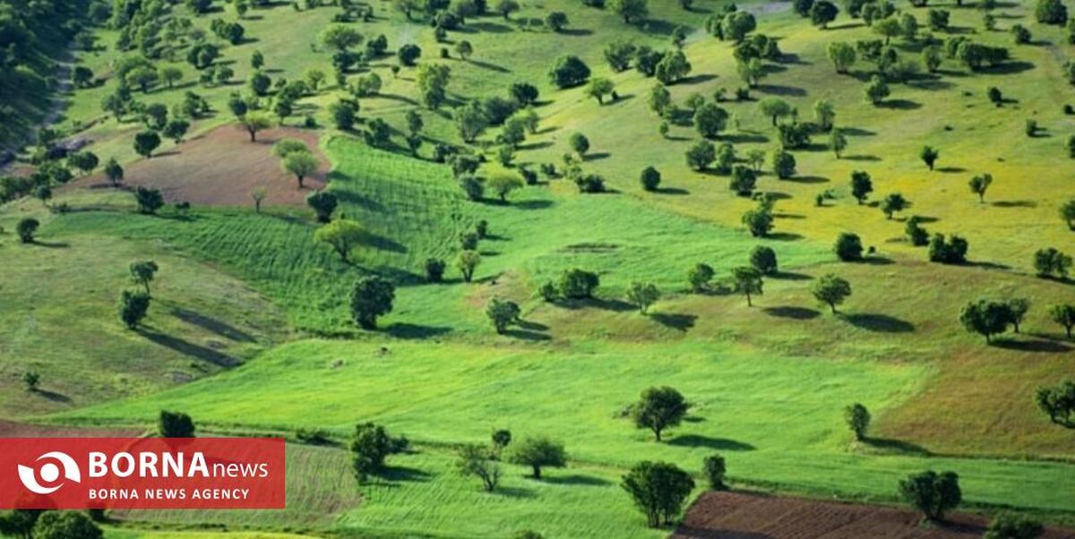 برخورد قاطع محیط زیست کرمانشاه با تخریب طبیعت به بهانه توسعه