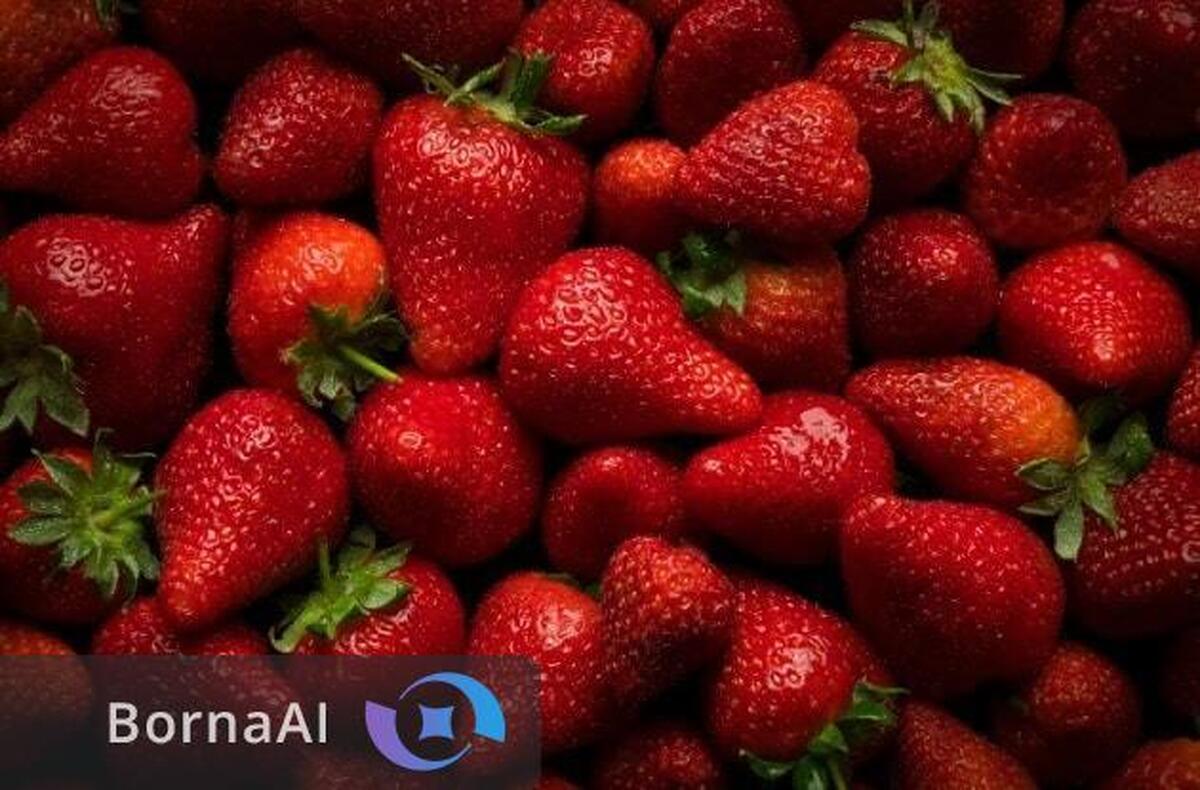 رشد شگفت انگیز ۲۵ درصدی توت‌فرنگی با نانوحباب‌ها در ایران