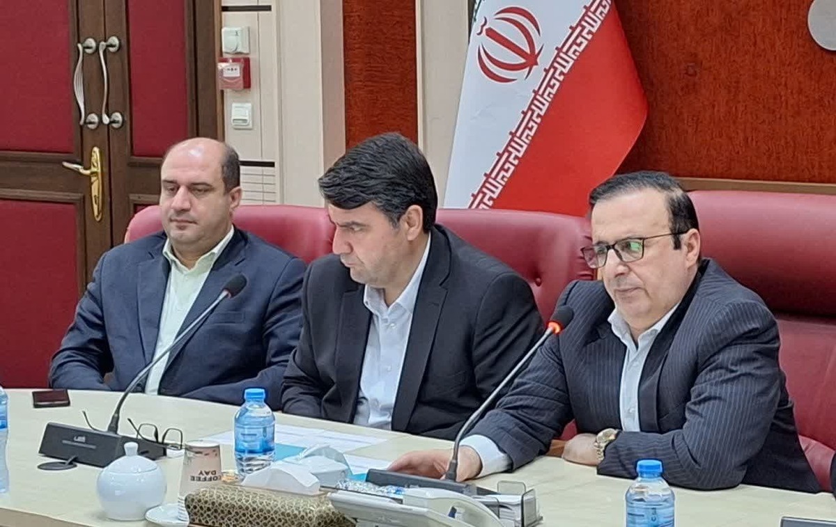 نوذری: تقویت مشاغل خانگی مهمترین رویکرد دولت در شرایط کنونی است