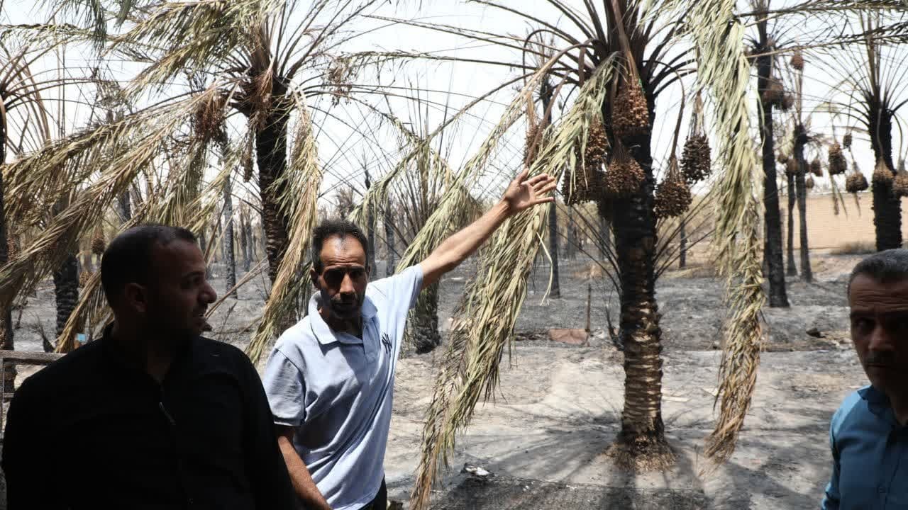 استاندار خوزستان: علت آتش‌سوزی نخلستان‌های آبادان در دست بررسی است / بهره مندی از تمام ظرفیت‌های استانی و ملی برای جبران خسارت و بازسازی نخلستان‌ها
