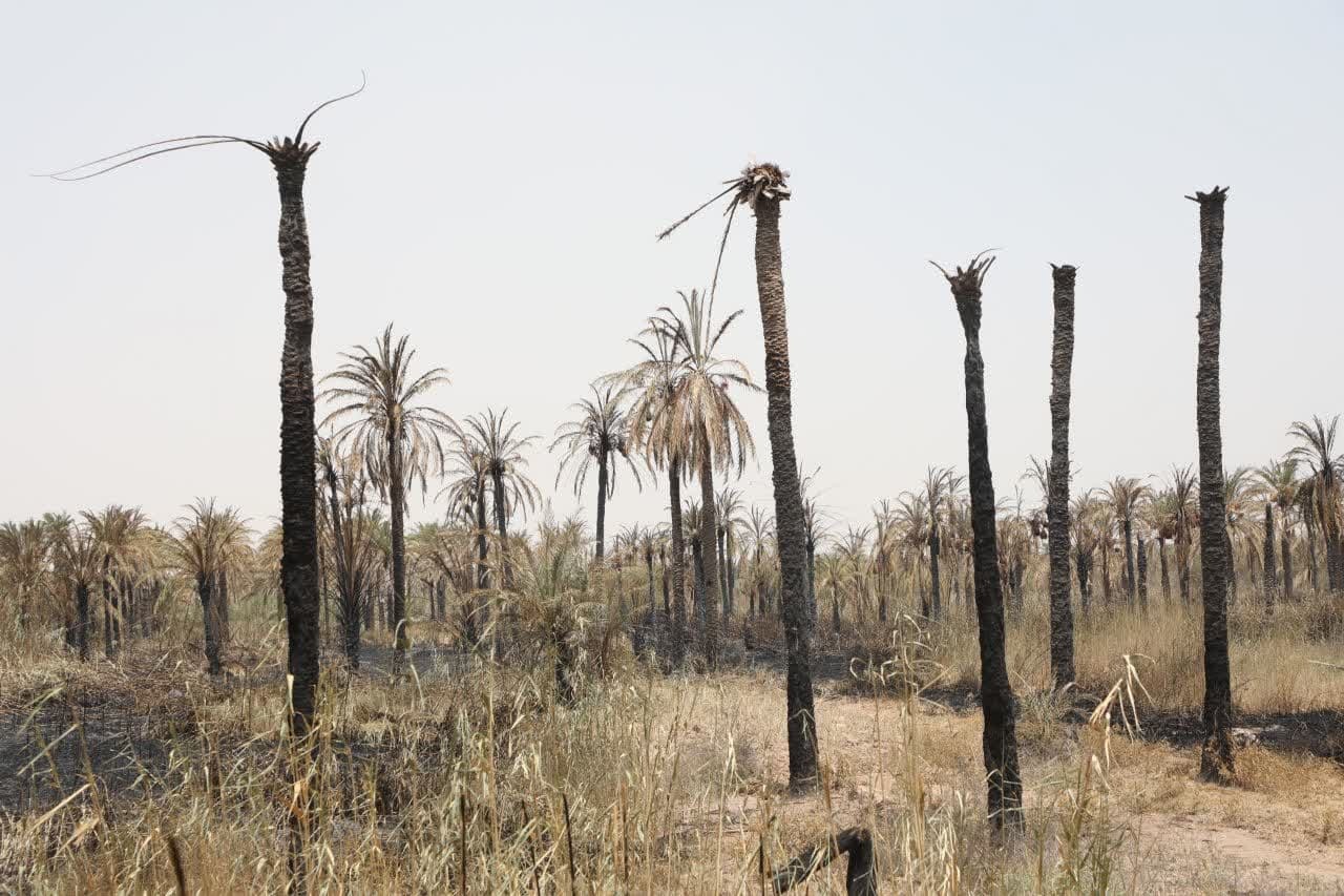 استاندار خوزستان در روستای کوت‌شنوف آبادان: تمام دستگاه‌های اجرایی موظف به جبران خسارت آتش‌سوزی هستند / طرح جامع احیای نخلستان‌های آسیب‌دیده تدوین می شود
