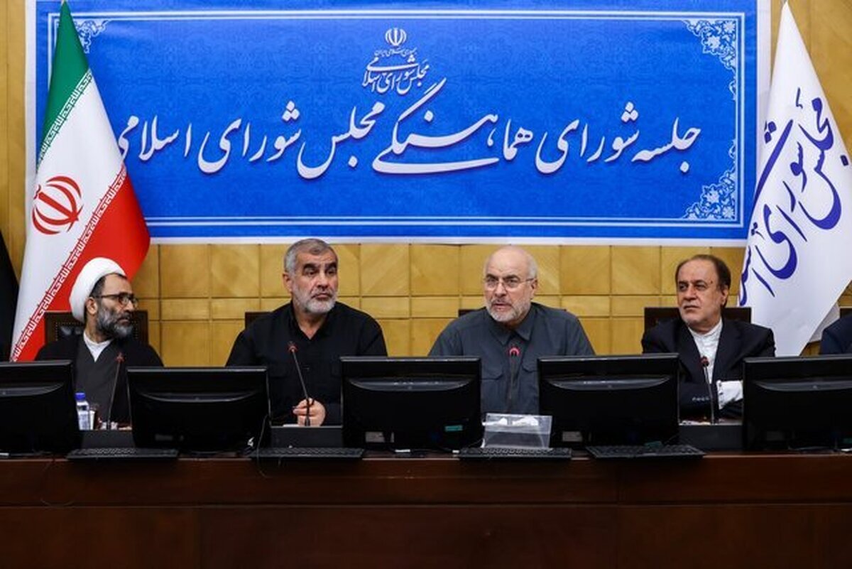 تاکید قالیباف بر ضرورت تعامل و همکاری مناسب دولت و مجلس