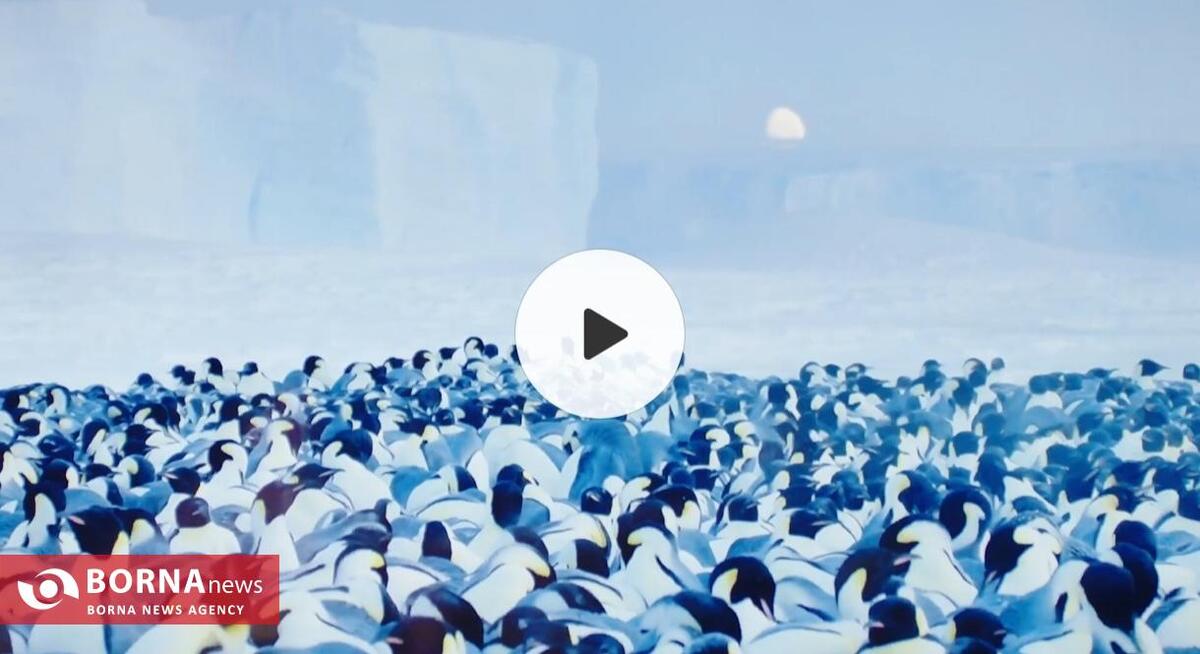 خانه یخچال نیست