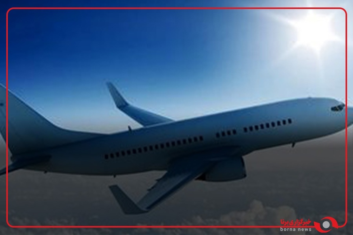 بازیگوشی خرس سیاه فرودگاه ژاپن را تعطیل کرد