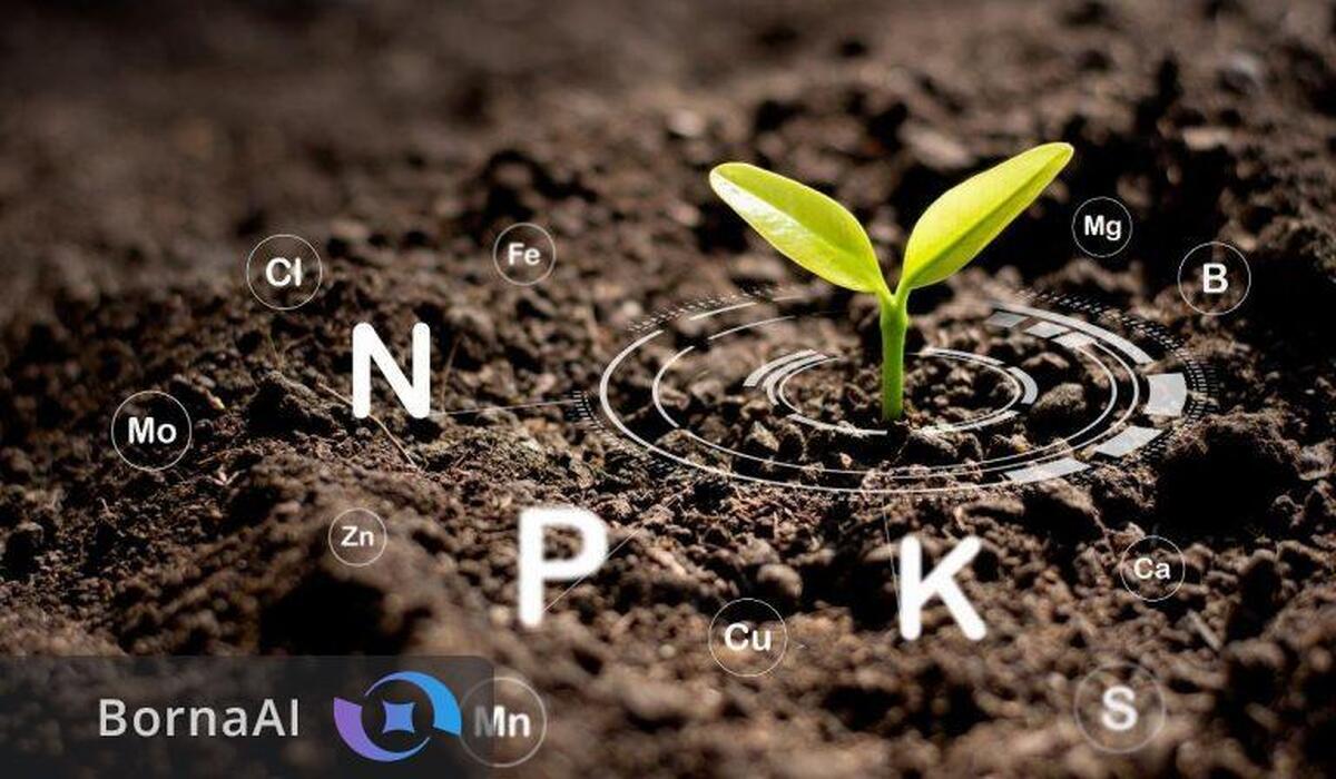 نجات کشاورزی از چنگال خشکسالی با فناوری نانوآماده‌سازی