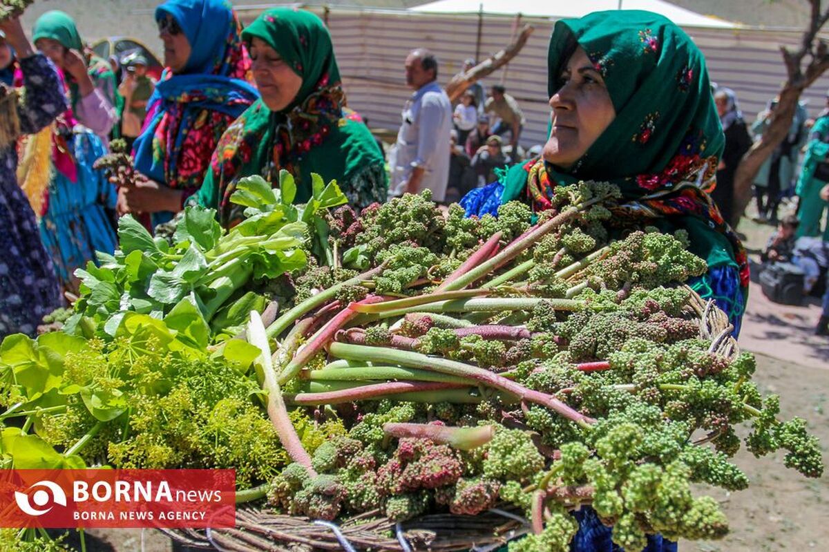 قیمت سبزیجات برگی و غیر برگی اعلام شد