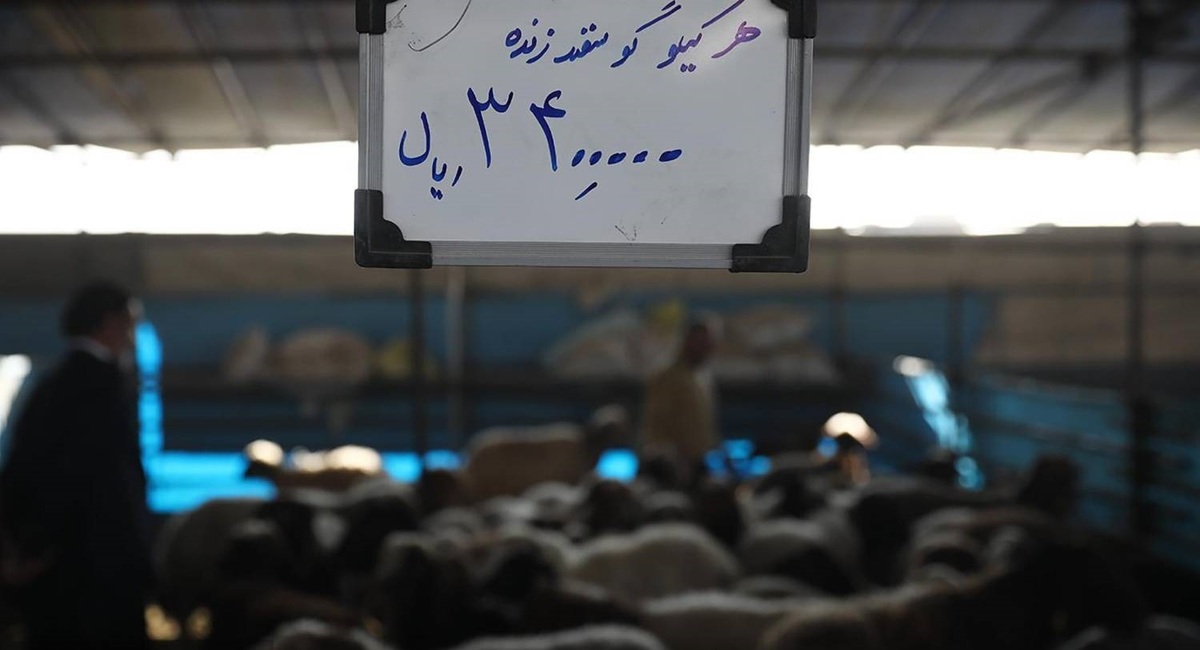 فعالیت ویژه ۳ مرکز عرضه دام زنده بهداشتی در ایام محرم