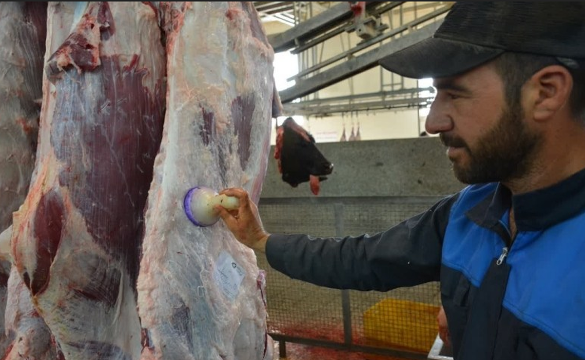 ۲۷ تیم دامپزشکی قزوین بر ذبح دام در محرم نظارت می‌کنند