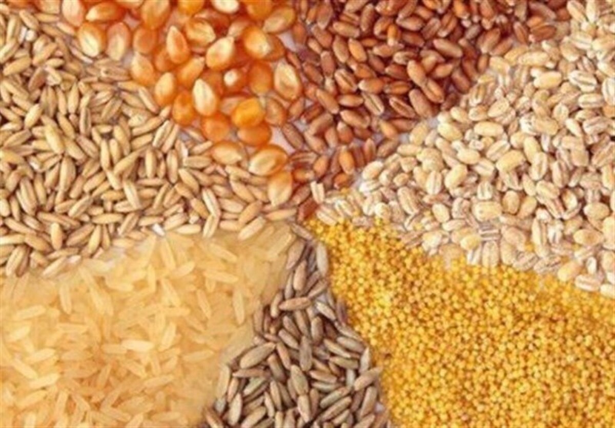 قیمت مصوب جدید نهاده‌های دامی، روغن و شکر خام اعلام شد