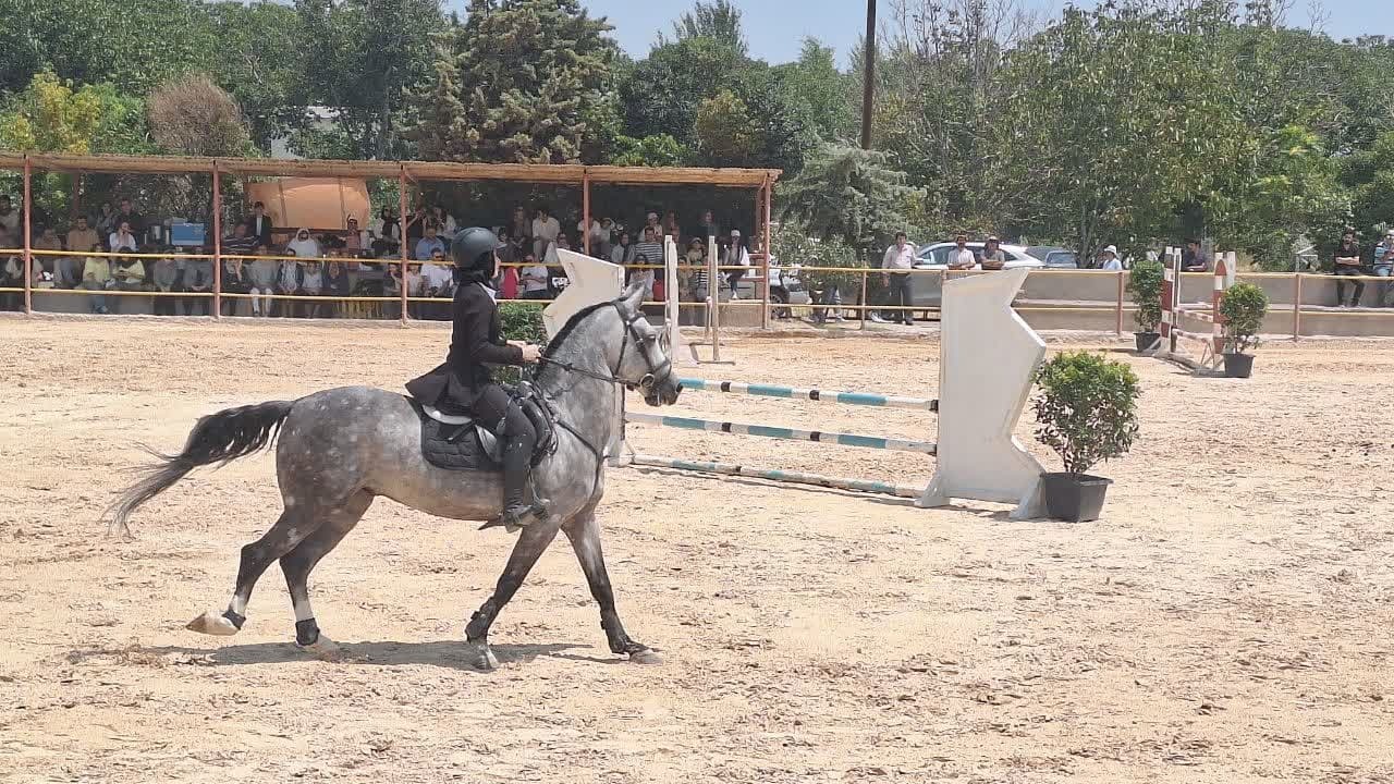 مسابقات سوارکاری پرش با اسب در قزوین آغاز شد