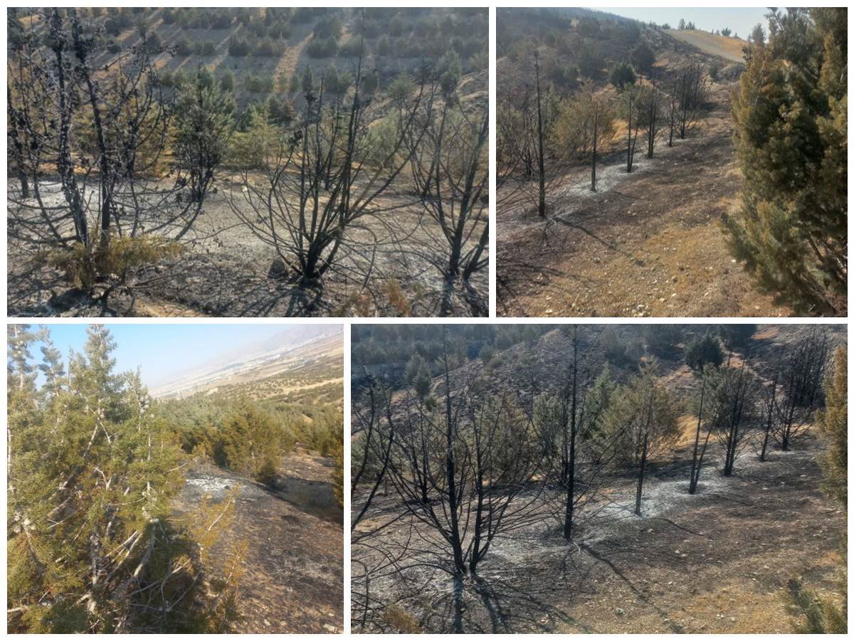 مهار آتش ‌سوزی در منطقه چهارشاخ جاجرود