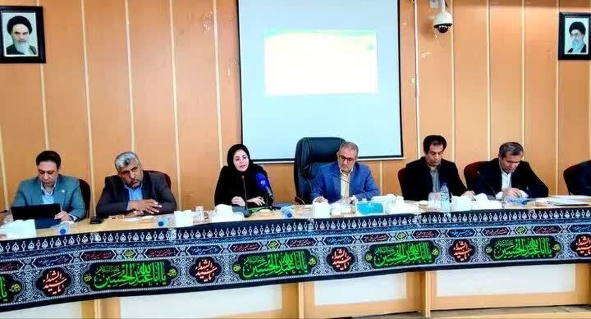 استاندار: دستگاه‌های اجرایی تضمین کننده الزامات و اصول استاندارد باشند