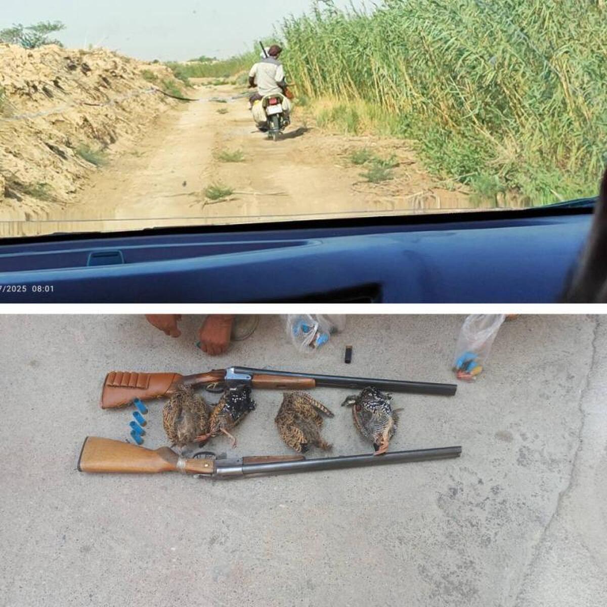 دستگیری چهار شکارچی متخلف در خوزستان