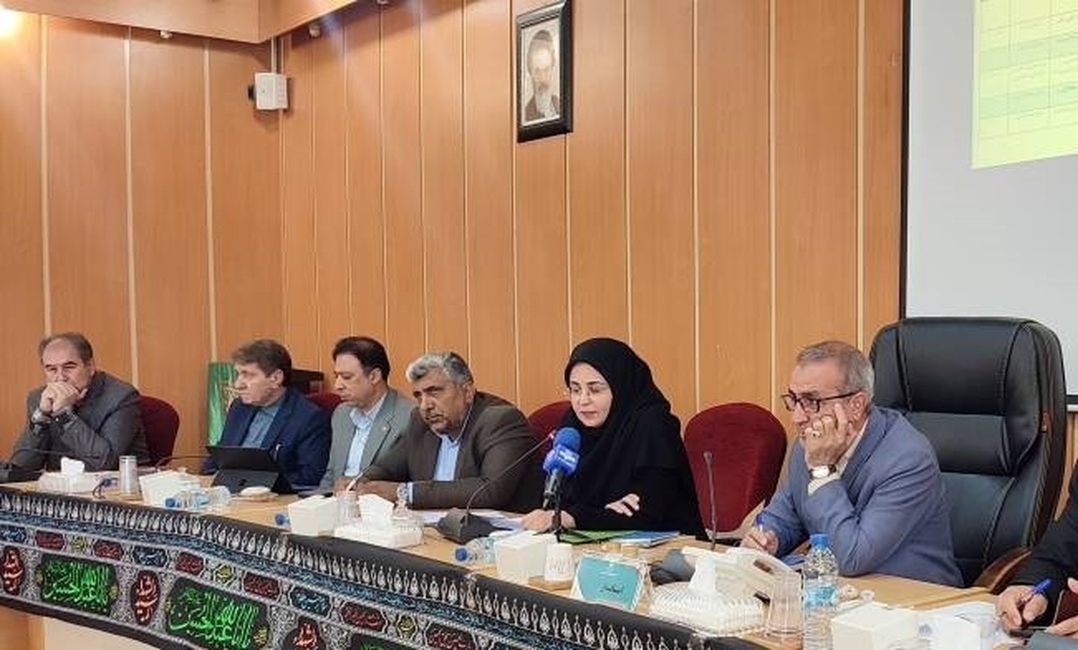 بر خورد با سه شرکت متخلف نصب آسانسور در کهگیلویه و بویراحمد