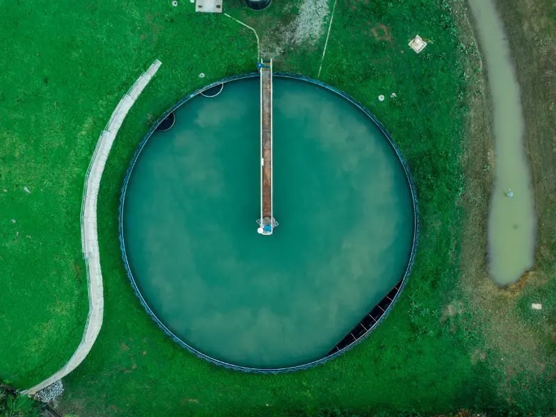 در چه محصولات کشاورزی از فاضلاب تصفیه شده می توان استفاده کرد؟