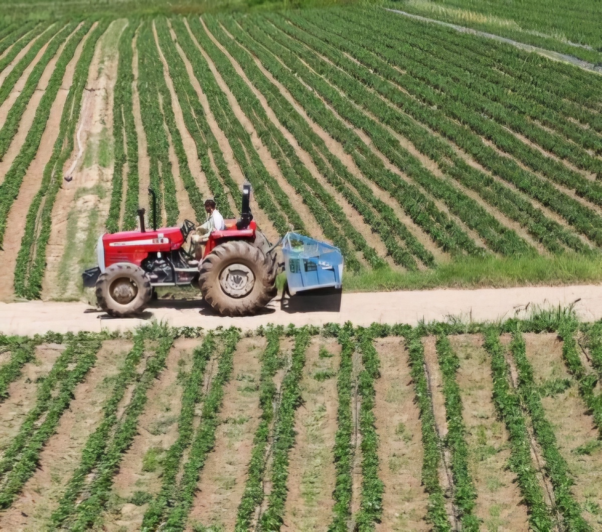 رفع تداخلات ثبتی کشاورزی در کهگیلویه و بویراحمد؛ ازآمارها تا واقعیت‌ها