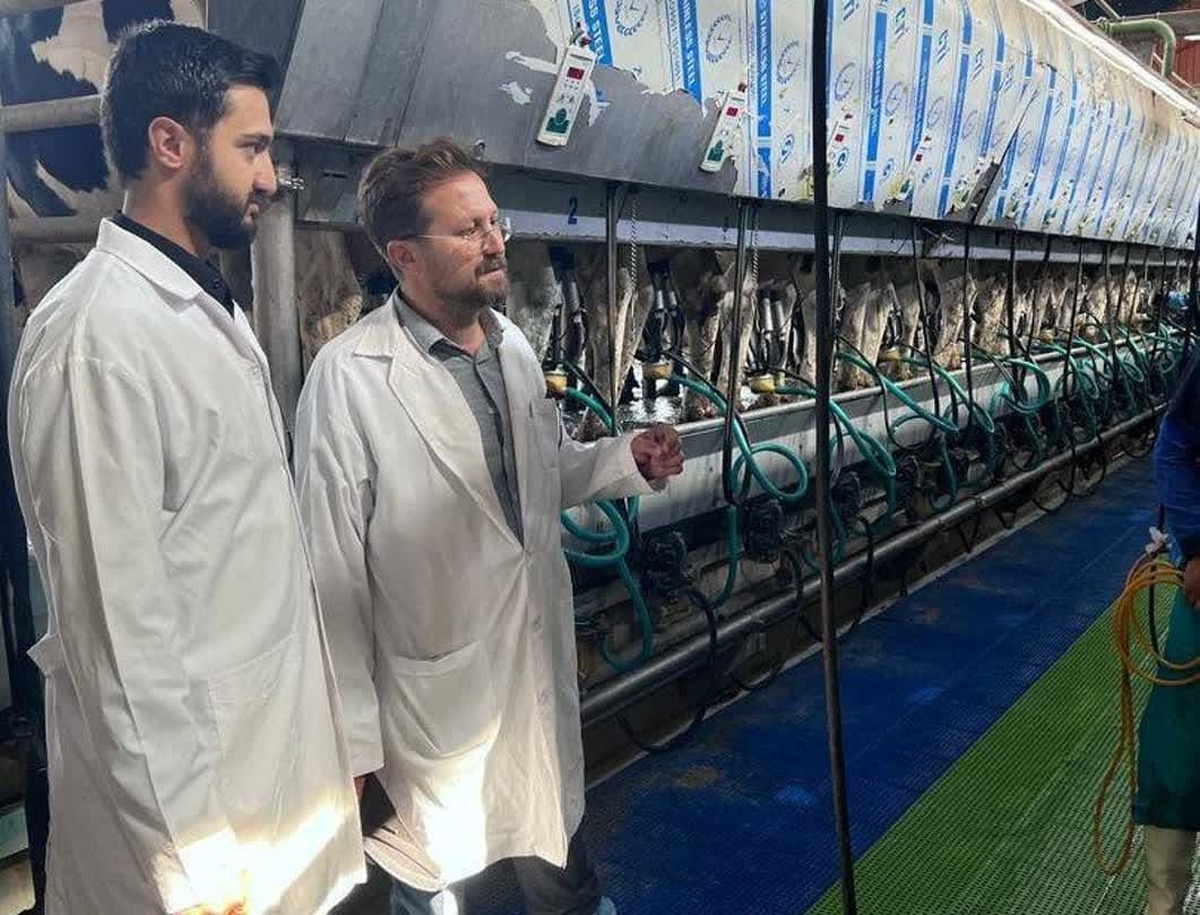 نظارت مستمر محیط زیست استان قزوین بر فعالیت دامداری‌ها