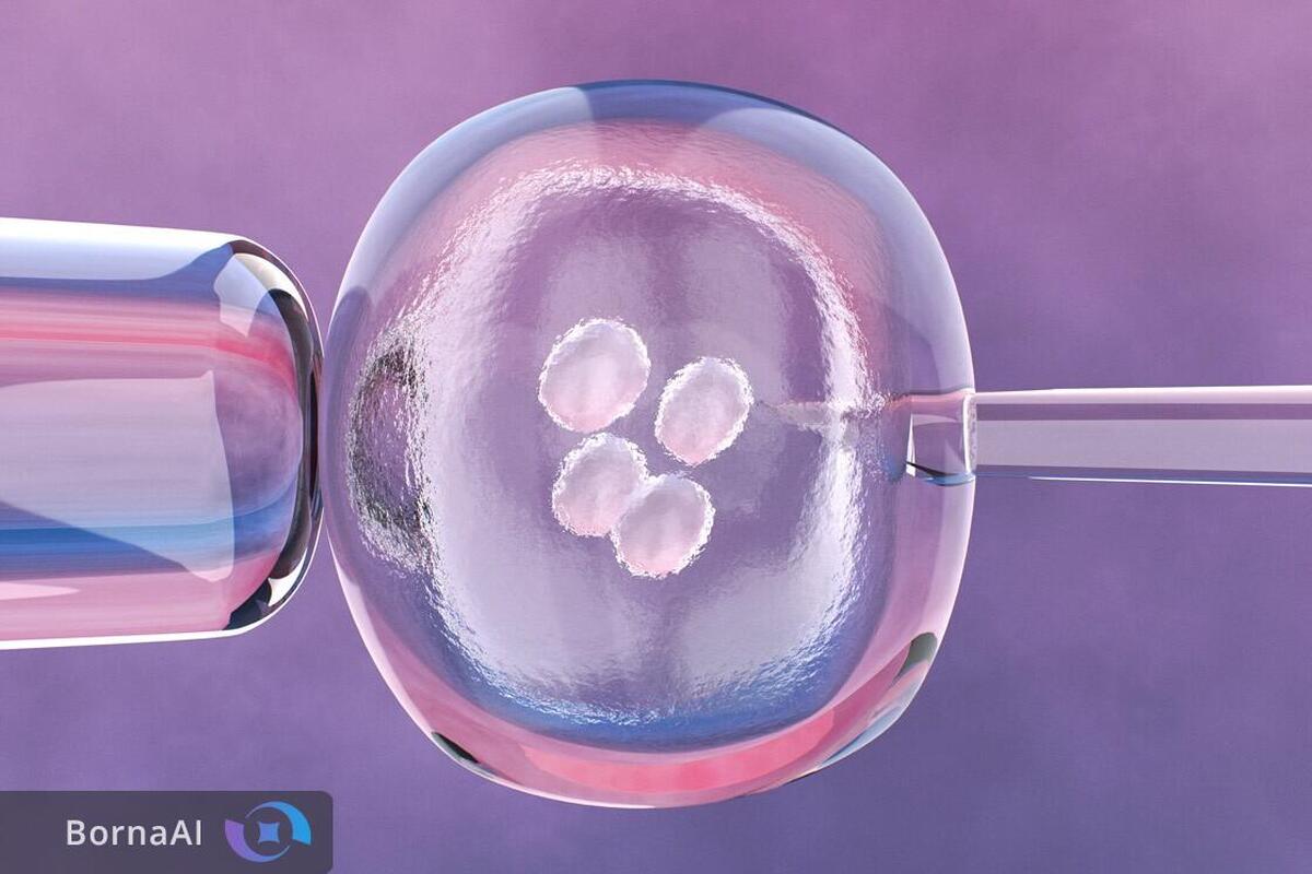 تولد بیش از ۱۳ میلیون نوزاد از طریق IVF در جهان/ فناوری کمک‌باروری چگونه مسیر فرزندآوری را متحول کرد؟