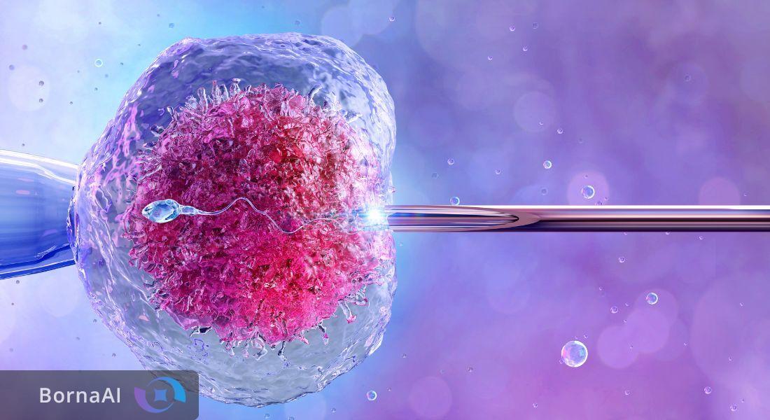 تولد بیش از ۱۳ میلیون نوزاد از طریق IVF در جهان/ فناوری کمکباروری چگونه مسیر فرزندآوری را متحول کرد؟ تولد بیش از ۱۳ میلیون نوزاد از طریق IVF در جهان/ فناوری کمکباروری چگونه مسیر فرزندآوری را متحول کرد؟