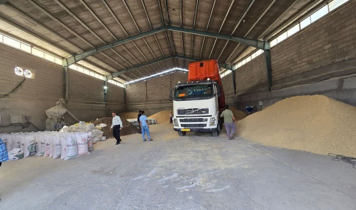 توزیع ۱۴۰ هزار تن نهاده دامی میان عشایر کشور