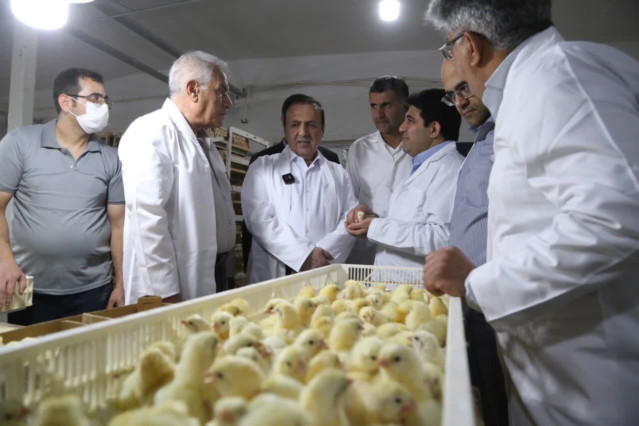 چهارشنبه‌های صنعتی استاندار قزوین این هفته در واحد‌های کشاورزی