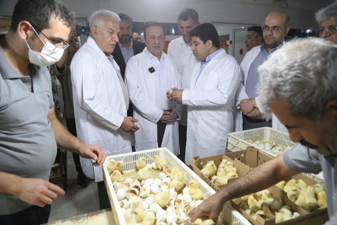 چهارشنبه‌های صنعتی استاندار قزوین این هفته در واحد‌های کشاورزی