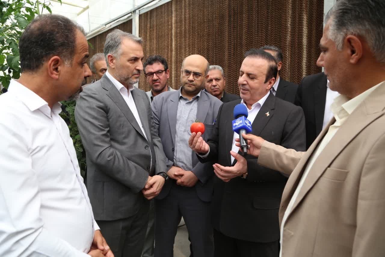 بازدید استاندار قزوین از شرکت گل سم گرگان پیشتاز تولید بذر هیبرید گوجه فرنگی در کشور