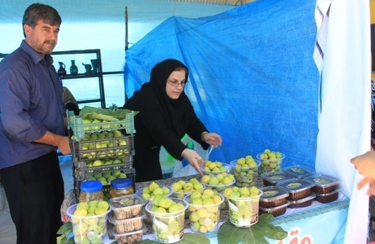 انجیر و اکبرجوجه نماد همت مردمان این دیار