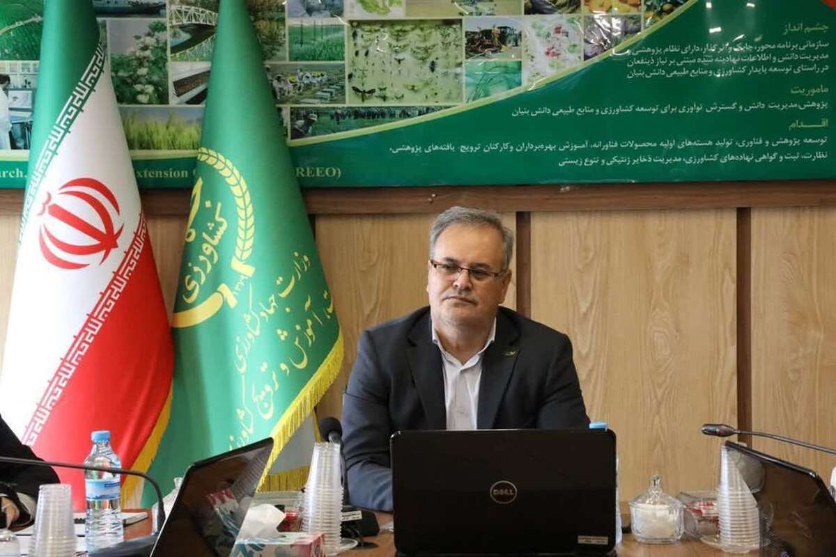 پیش بینی صرفه‌جویی ۱۰ درصدی آب با اجرای الگوی کشت در سال زراعی ۱۴۰۴