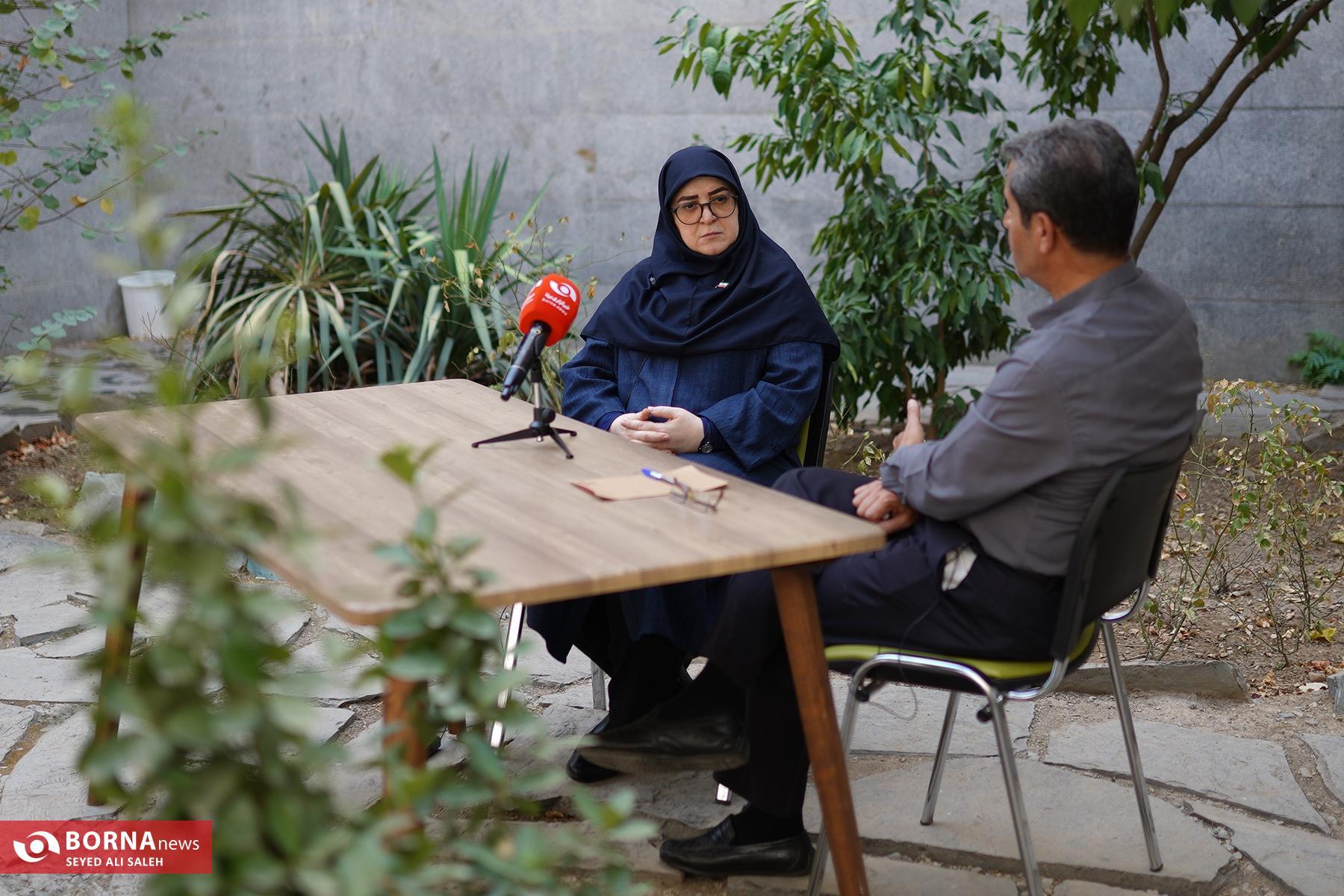 از دیپلماسی تا توسعه انرژی‌های نو / روایت مهاجرانی از سیاست‌های دولت پزشکیان