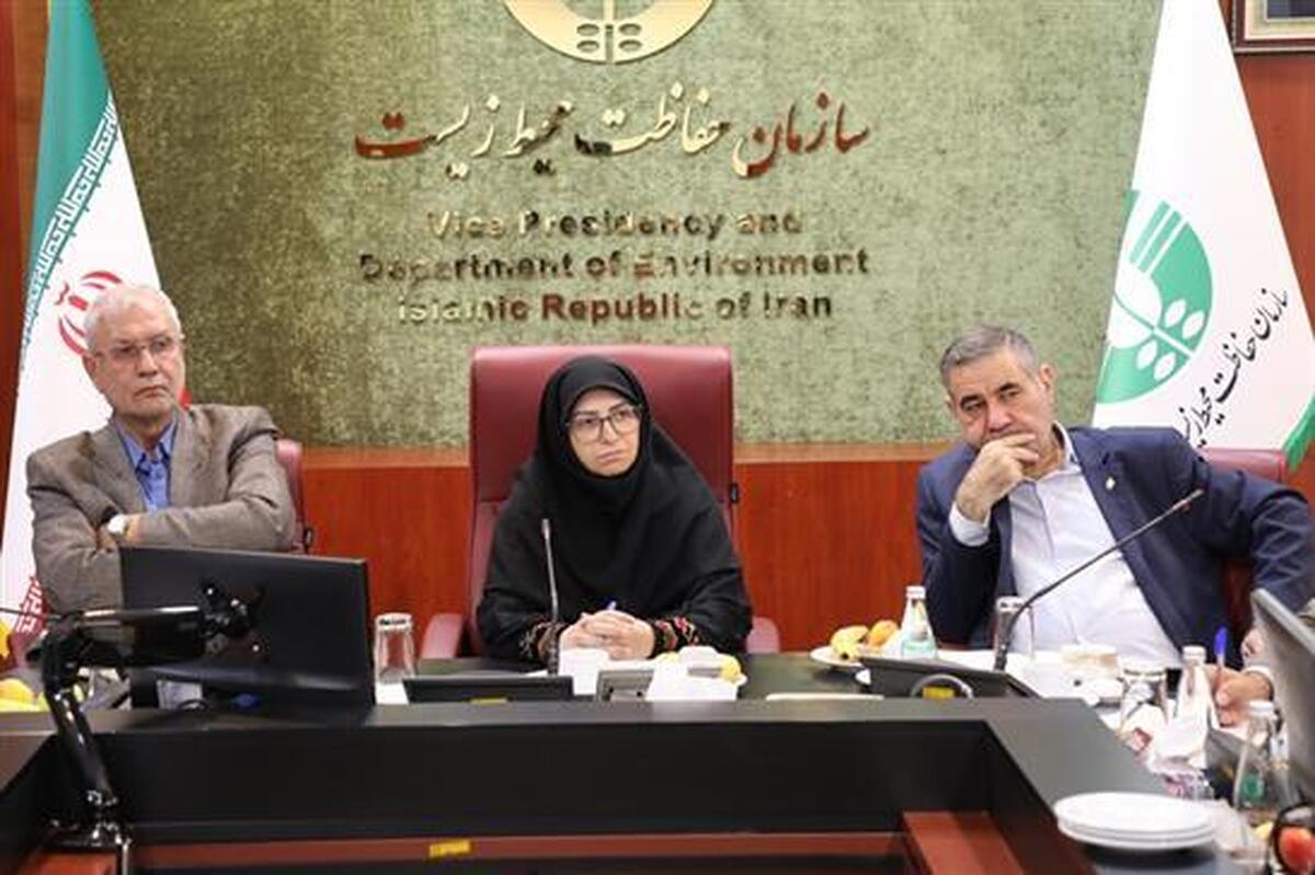 معاون رئیس جمهور: تحقق مشارکت واقعی برای حفظ محیط زیست هدف اصلی ما است