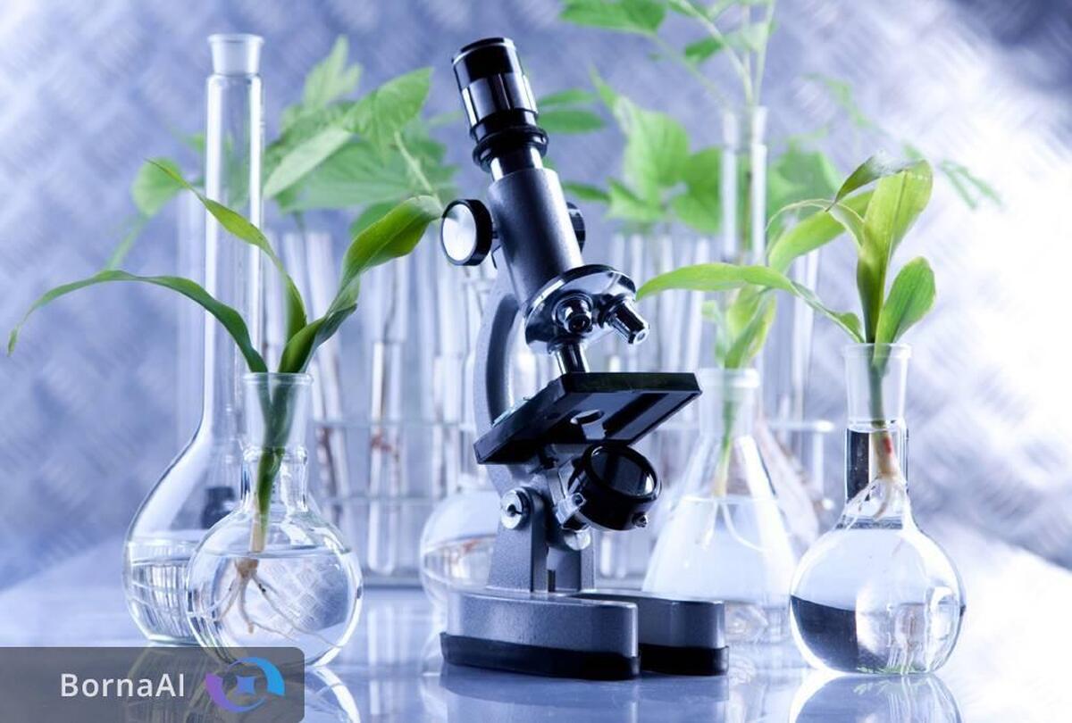 ورود ۳ قلم داروی مبتنی بر نانو به بازار/ اجرای ۲۰ پروژه فناورانه سلامت با هدف‌گذاری ۴۰ میلیون دلار صرفه‌جویی ارزی