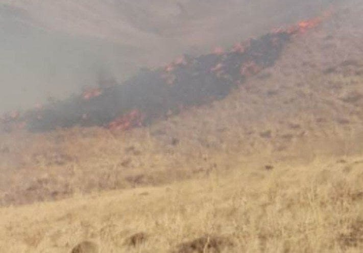 آتش ‌سوزی منطقه حفظت شده باشگل با اقدام سریع محیط ‌بانان مهار شد