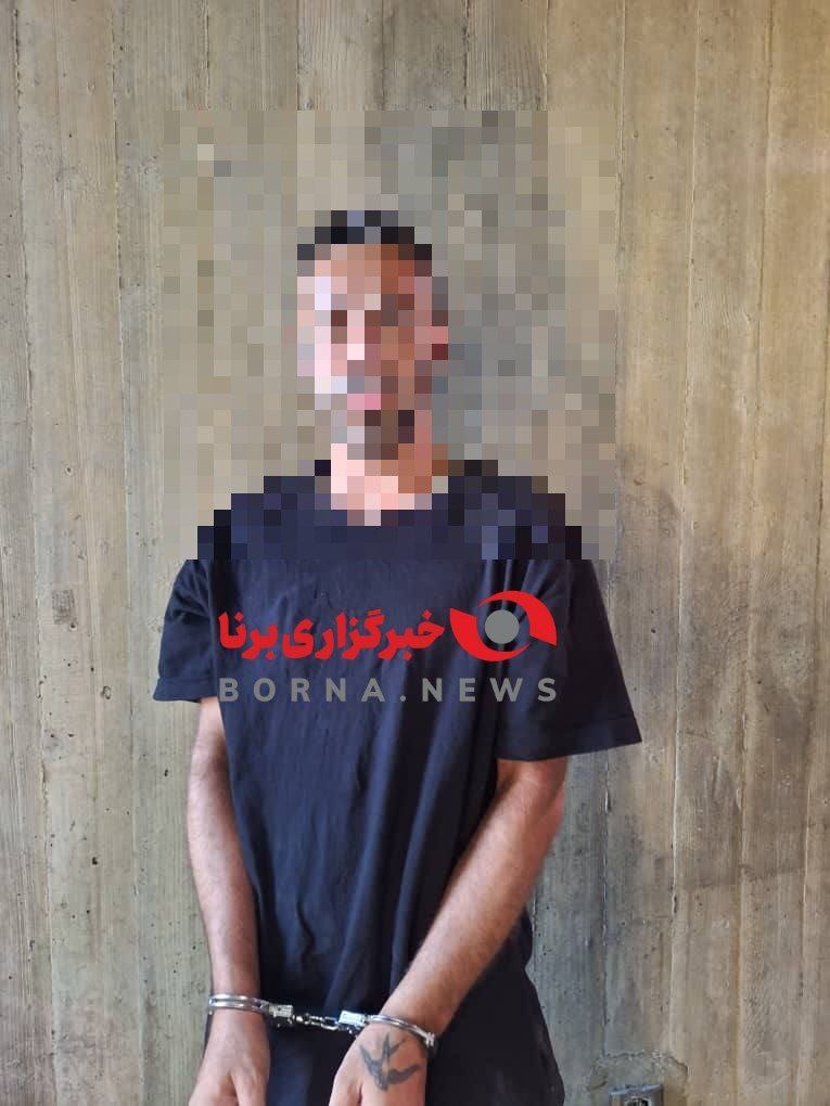 سارق موزه هنرهای معاصر تهران بازداشت شد + عکس سارق