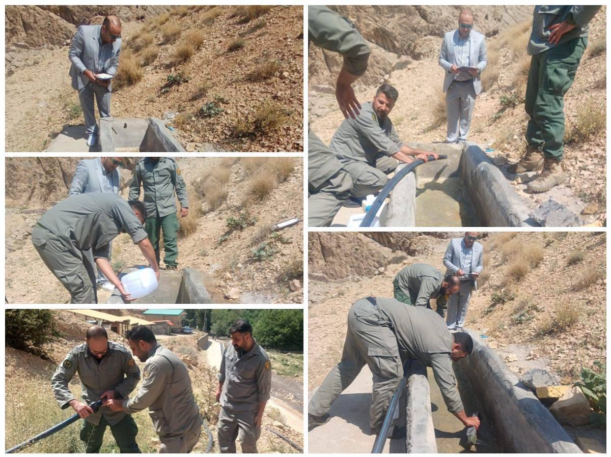 توزیع ۱۶۰ گالن ماده ضدعفونی‌کننده برای پیشگیری از بیماری در حیات وحش استان تهران