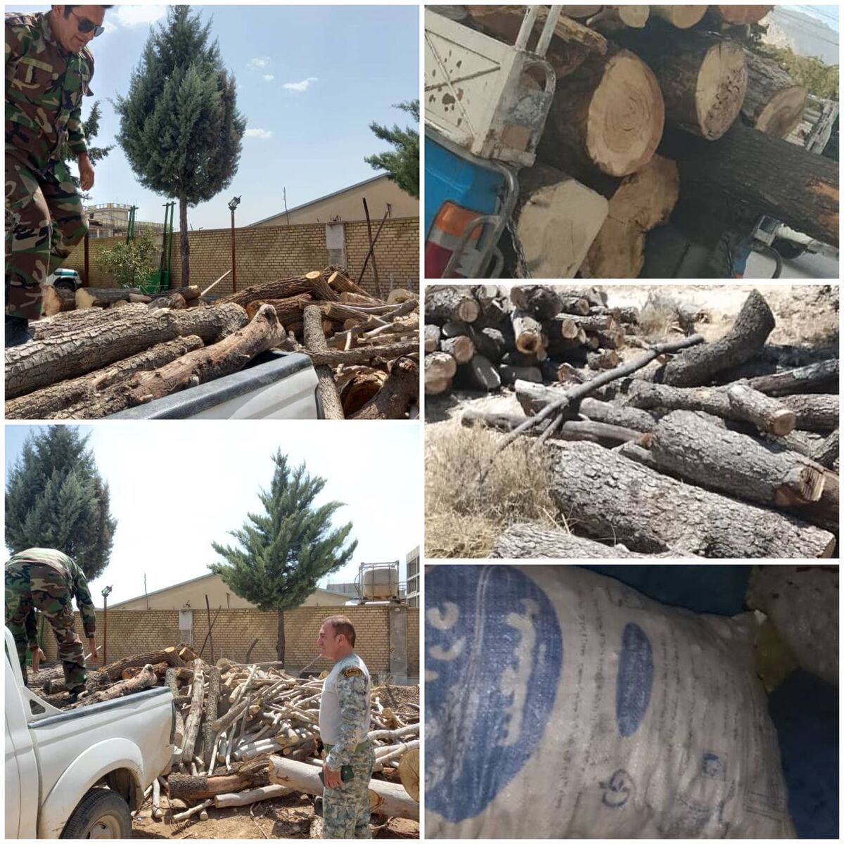 کشف ۴۷۵۰ کیلوگرم چوب و زغال قاچاق طی ۷۲ ساعت گذشته 