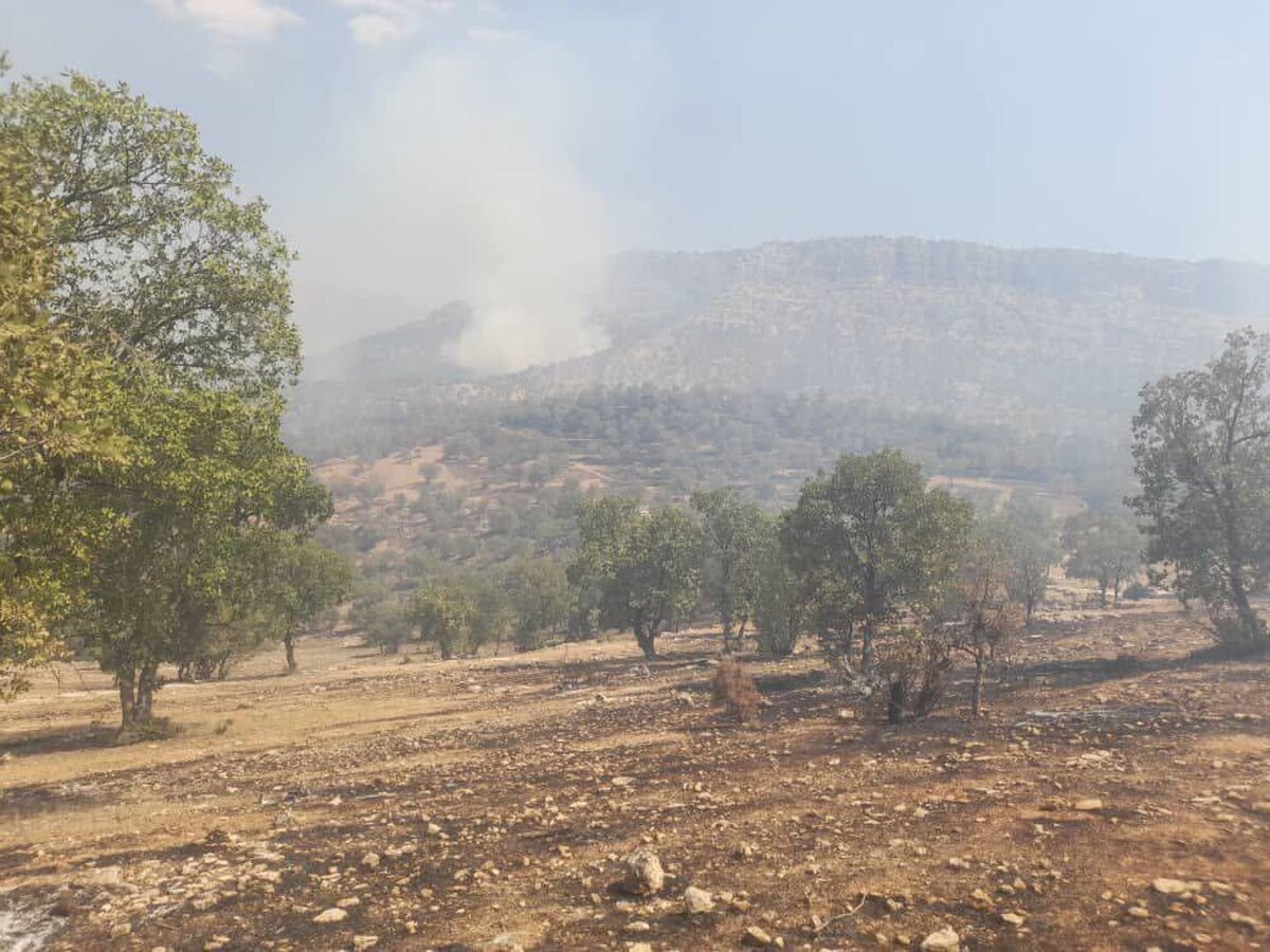 بازداشت عامل آتش سوزی عمدی مناطق سبزه کوه و ارمند