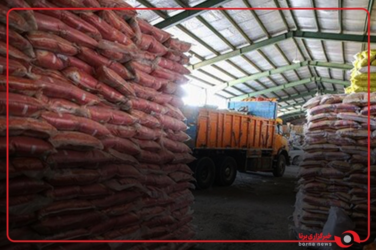 انبار برنج‌های احتکاری کشف شده