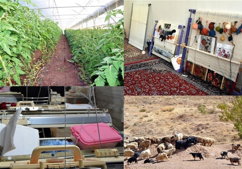 پرداخت ۶۰۰ میلیارد تومان تسهیلات توسط صندوق کارآفرین امید استان قزوین پرداخت ۶۰۰ میلیارد تومان تسهیلات توسط صندوق کارآفرین امید استان قزوین