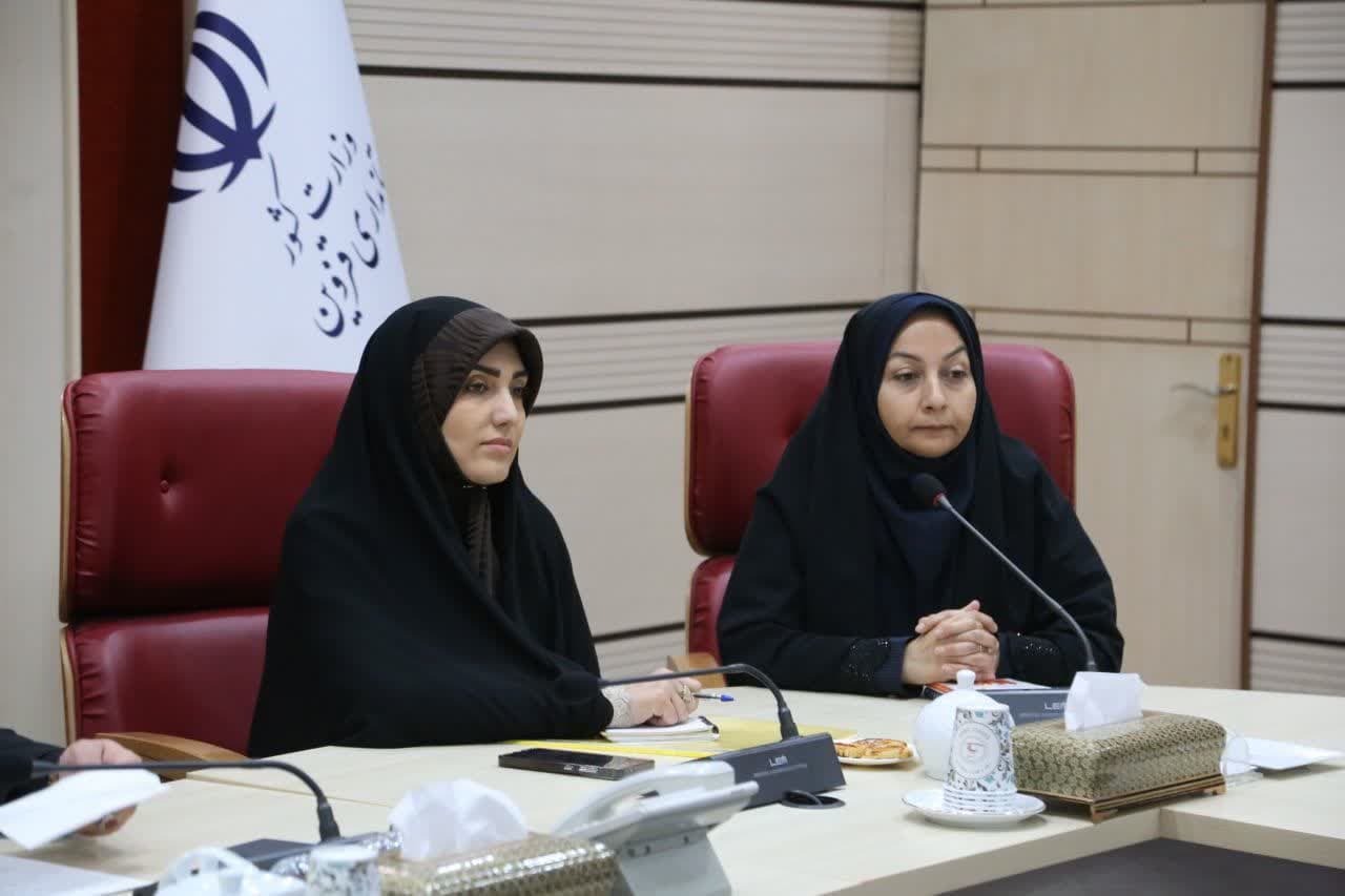 مناسب سازی برای تردد معلولان در شهر قزوین ضروری است 