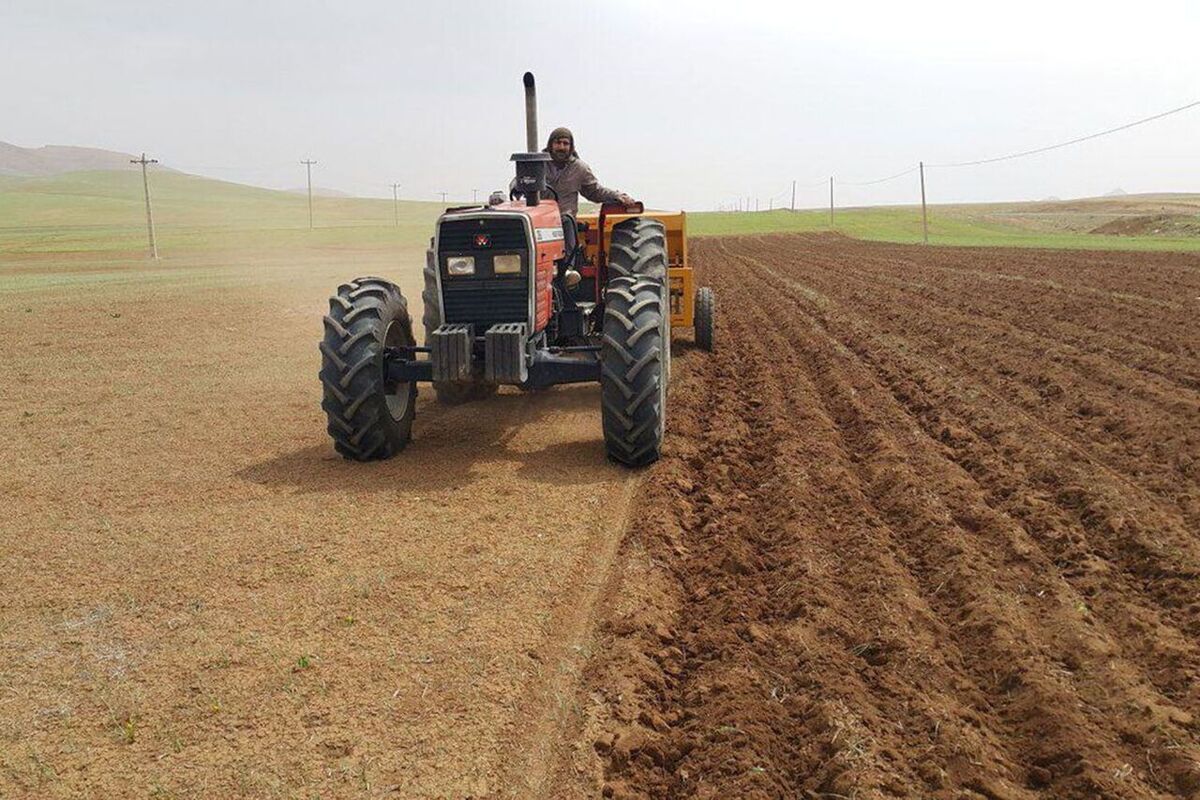 کشت پاییزه در استان آذربایجان‌غربی ممنوع شد