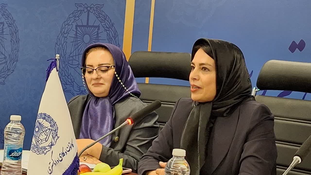 فرهنگ استفاده از وکیل بایستی در جامعه نهادینه شود