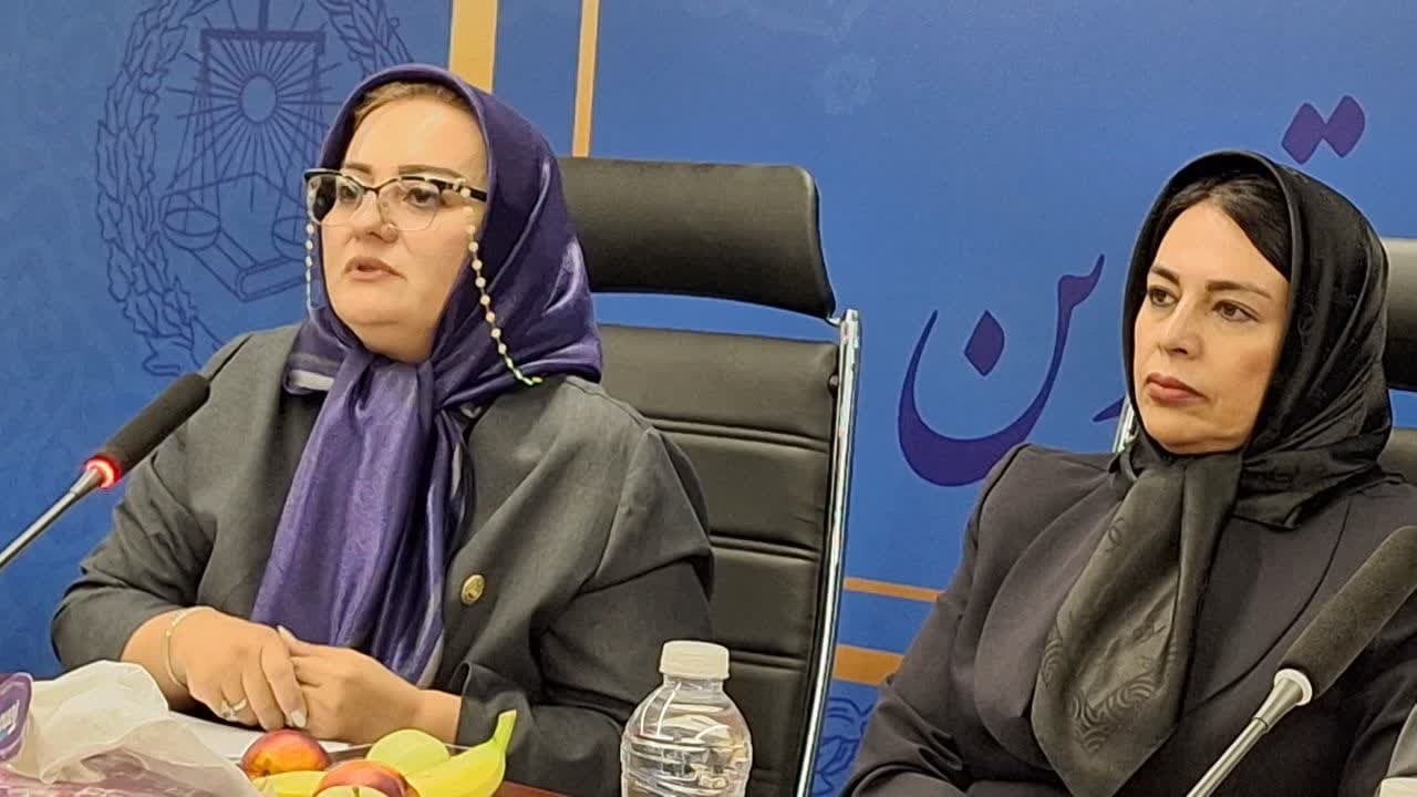 فرهنگ استفاده از وکیل بایستی در جامعه نهادینه شود